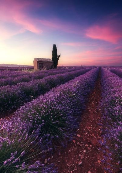 f2016eea2b6a4eeef7c4327df50f679a